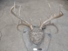 tile mount deer rack.jpg