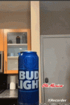 budlight.gif