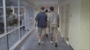 ExaltedImaginaryGroundhog-max-1mb.gif
