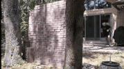 1697546398192.gif