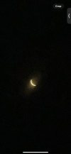IMG_0787.png