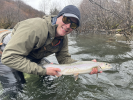 first steelhead.png