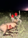 elk.png