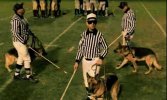 big ten refs.jpg