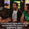 bird-law-charlie-day.gif