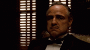 1746034960866.gif