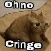 IMG_4561.jpeg