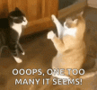 1748004914348.gif
