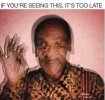 IMG_2036.jpeg