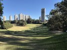 IMG_0330.jpeg