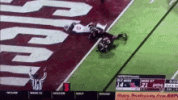 1749754856603.gif