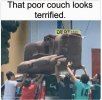 IMG_2274.jpeg