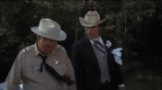 IMG_2319.gif