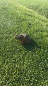 IMG_8409.jpeg