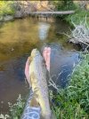 IMG_4074.jpeg