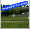 1750481913786.png