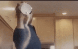 IMG_5532.gif