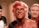 tmp.gif