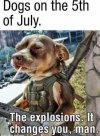IMG_2552.jpeg