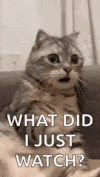 1751657140082.gif