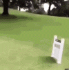 IMG_5866.gif