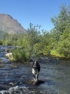 IMG_4985.jpeg