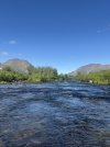 IMG_4983.jpeg