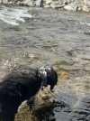 IMG_4976.jpeg