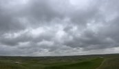 IMG_3934.jpeg