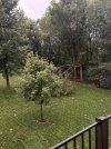 IMG_4905.jpeg