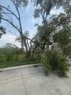 IMG_4701.jpeg