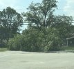 IMG_2434.jpeg