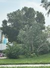 IMG_4710.jpeg