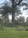 IMG_4716.jpeg
