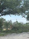 IMG_4717.jpeg