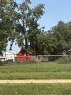 IMG_4720.jpeg