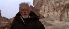 1755111451593.gif