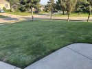 IMG_5533.jpeg