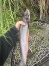 IMG_5133.jpeg