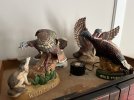 IMG_0315.jpeg