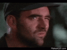 1755791173184.gif