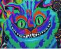 1756131640466.gif