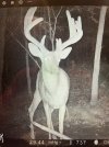 IMG_0332.jpeg