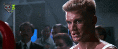 IMG_0544.gif