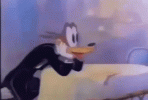 1000001785.gif