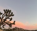 IMG_5878.jpeg
