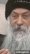 IMG_2864.gif