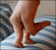 IMG_3519.gif