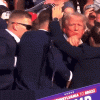 IMG_0563.gif