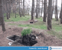 1758406459323.gif
